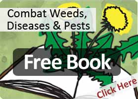 Lawn weeds diseases and pests - free ebook download