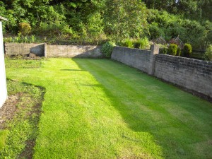 A newly turfed lawn, completely covered in grass turf