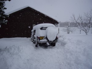 winter grass and lawn maintenance - a snowy landscape