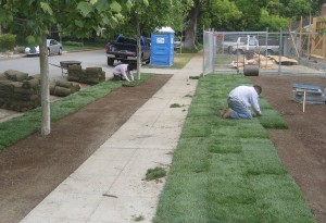 Constructing a new lawn