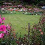A Large lawn, very finely mowed, showing fine attention to lawn care