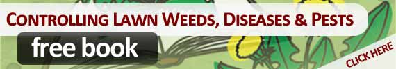 Download our Free Lawn Weeds, Diseases and Pests Book