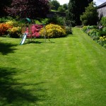 Lawn Care to a high standard