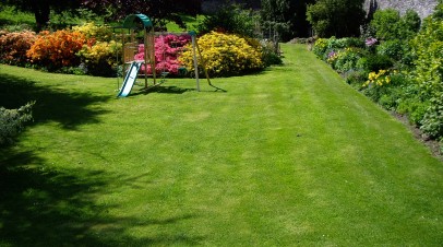 Annual Lawn Care Schedule: Grass Maintenance Through the Year