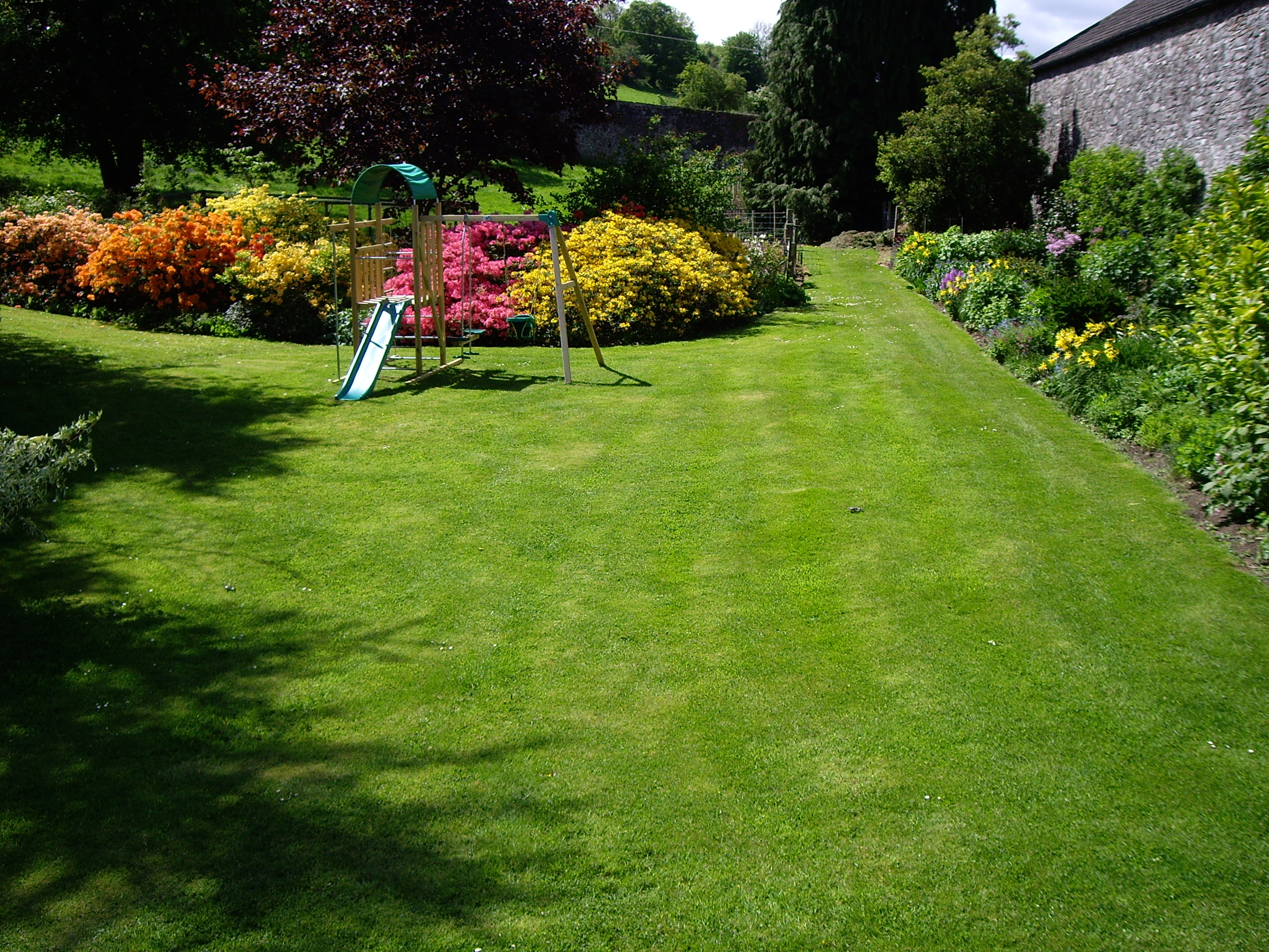 Annual Lawn Care Schedule: Grass Maintenance Through the Year