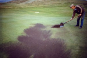 Spreading topdressing with a shovel.