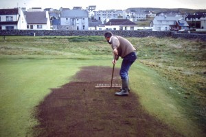 Working the top dressing into the sward