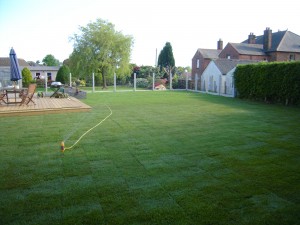 Lawn Care Courses: Learn how to Lay Turf