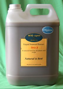 liquid turf tonic