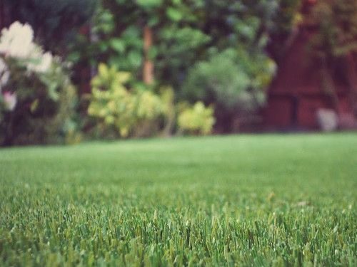 Close-up of an artificial grass lawn