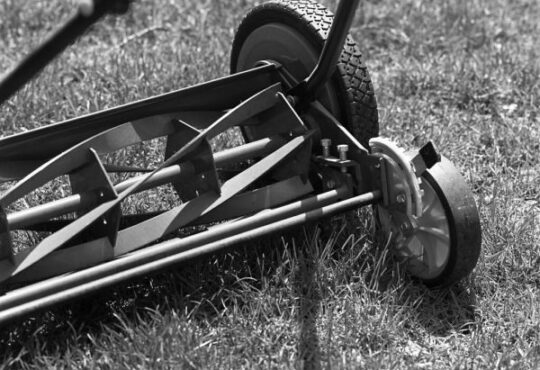 Cylinder lawn mower blades close-up