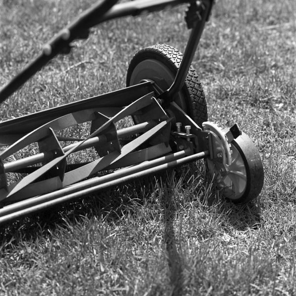 Cylinder lawn mower blades close-up