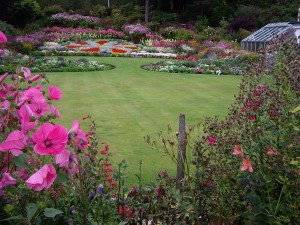 A Large lawn, very finely mowed, showing fine attention to lawn care