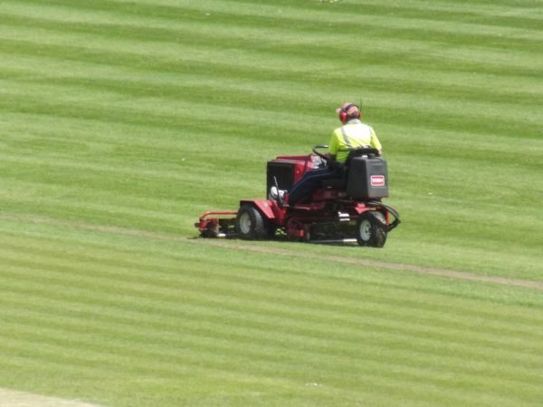 Professional groundsman mowing striped turf on a ride-on mower