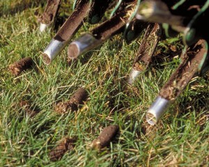Aerating your Lawn - A close up of aeration equipment at work