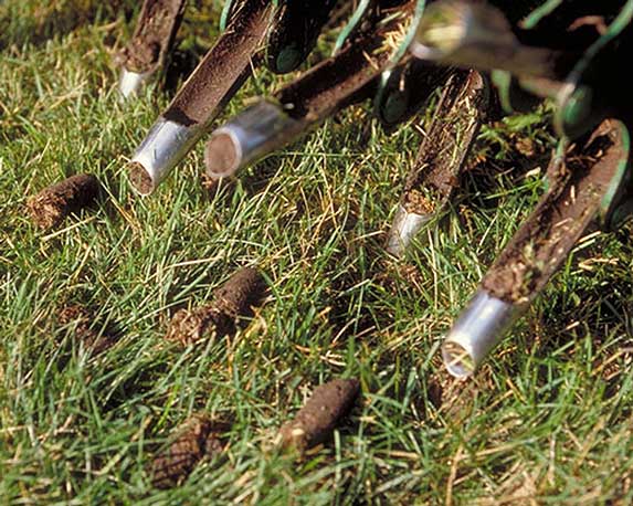 Lawn Aeration in progress - a close-up of a Lawn Aerator at work