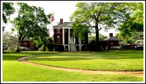 A great lawn can improve your house value