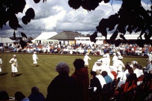 Bowling Green Maintenance at it's best at Ayr Northfield