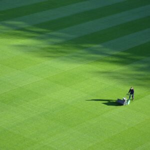 Dried Fertiliser