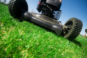 Autumn is the time to start preparing your lawn for a harsh winter season