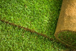 Rolls of turf, ready for laying