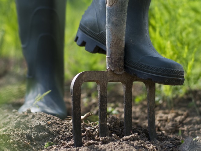 Using a fork to prepare your soil for turfing or seeding