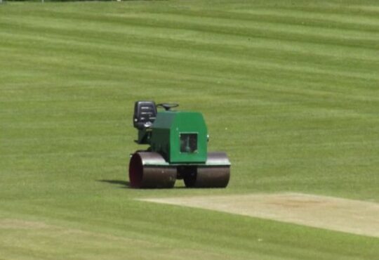 Turf roller on freshly striped fine turf