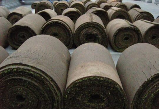 Rolls of fresh turf ready for laying