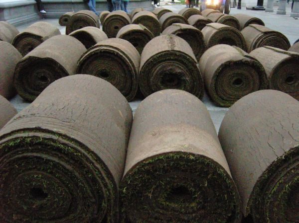 Rolls of fresh turf ready for laying